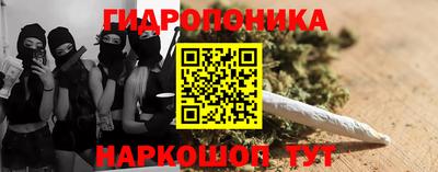 шишки Нарткала