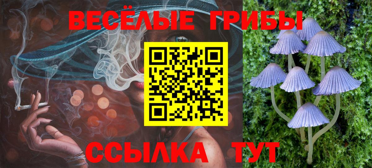 Галлюциногенные грибы мухоморы  Вход с VPN  Тверь 